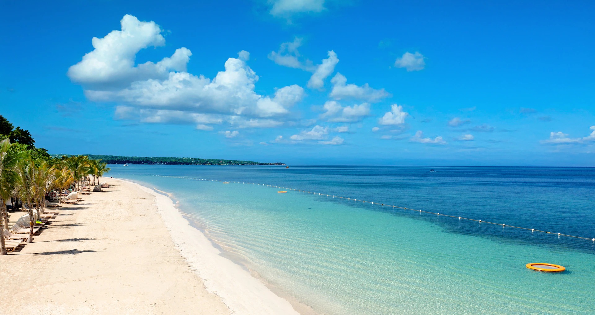 Vacation in Paradise